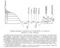 fig.C1 - Sezione geologica schematica attraverso l'isola Tiberina